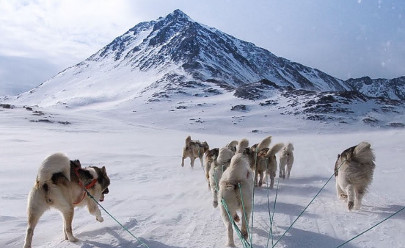 Катание на собачьих упряжках, двухдневный тур с ночевкой в Гренландии
