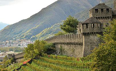 Посещение винодельни, дегустация вин в Швейцарии