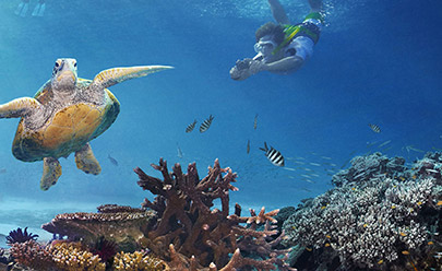 Круиз на Большой барьерный риф Ocean Spirit - Michaelmas Cay, включая обед в Австралии
