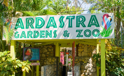 Экскурсия в Зоопарк на Багамских островах