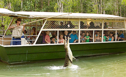 Экскурсия в парк животных Hartley's Crocodile Adventures в Австралии