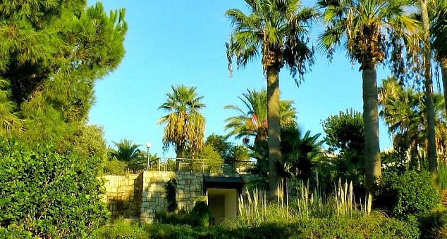 Zening Resort Elia Latchi Village